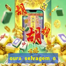 ouro selvagem o que aconteceu na vida